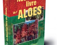 Aloes Vera