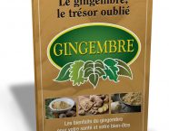 gingembre_tresor_oublie